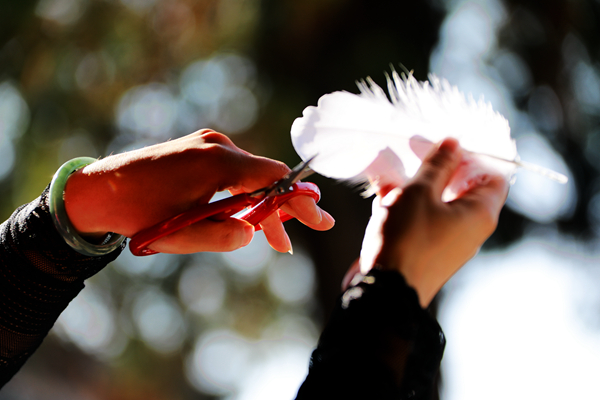 圖4_副本.jpg 圖4_副本.jpg