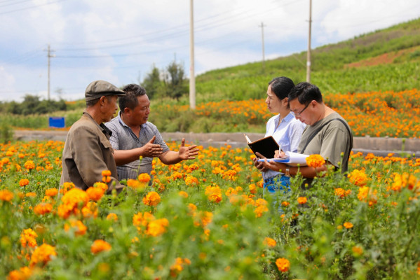 工作組在召夸鎮他官營村向群眾了解相關情況 1.jpg 工作組在召夸鎮他官營村向群眾了解相關情況 1.jpg