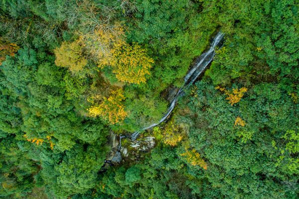 龍陵_副本.jpg 龍陵_副本.jpg