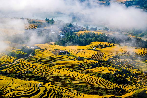 曬秋 (11)_副本.jpg 曬秋 (11)_副本.jpg