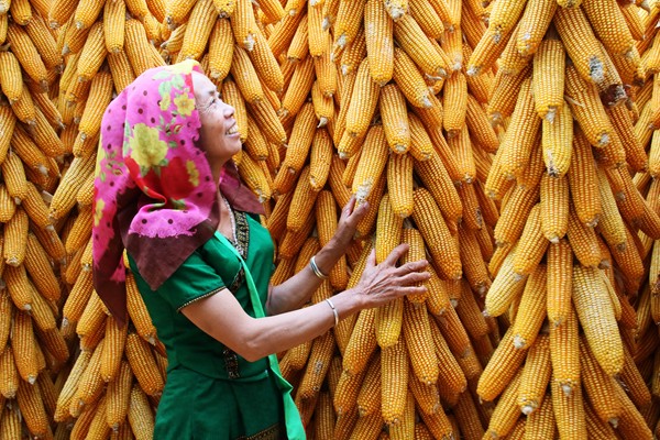 思茅_副本.jpg 思茅_副本.jpg