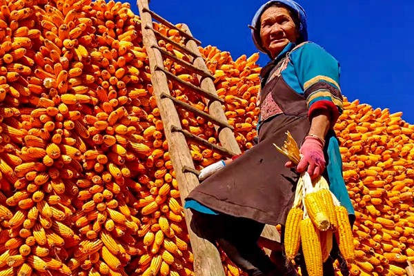 陸良_副本.jpg 陸良_副本.jpg