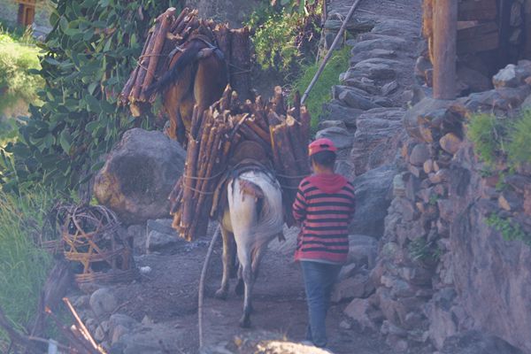 6_副本.jpg 6_副本.jpg