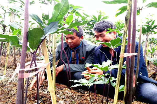 左一.jpg 左一.jpg