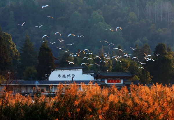 保山騰沖.jpg 保山騰沖.jpg