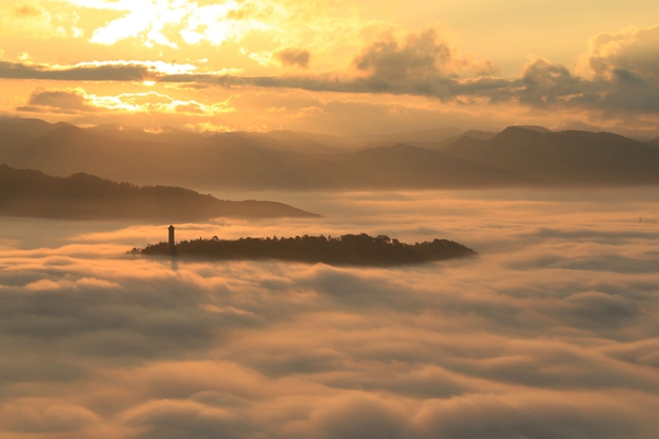 普洱寧洱.jpg 普洱寧洱.jpg