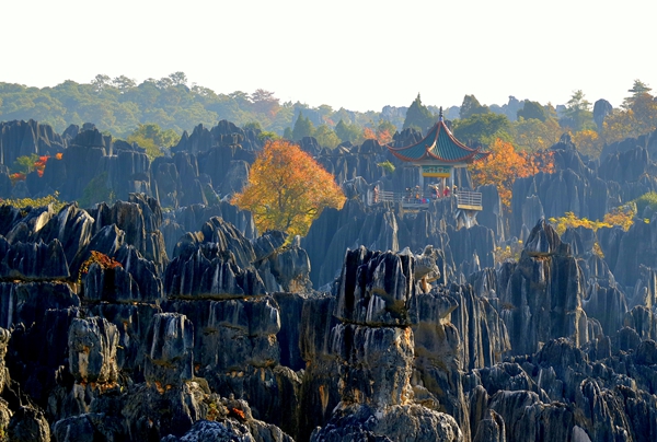 昆明石林.jpg 昆明石林.jpg