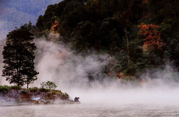 麗江華坪.jpg 麗江華坪.jpg
