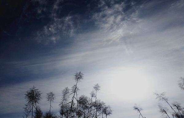 昭通水富.jpg 昭通水富.jpg