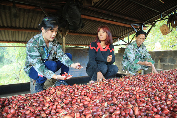 和當?shù)厝罕姺謷莨? 李莉(左一)_副本.jpg 和當?shù)厝罕姺謷莨? 李莉(左一)_副本.jpg
