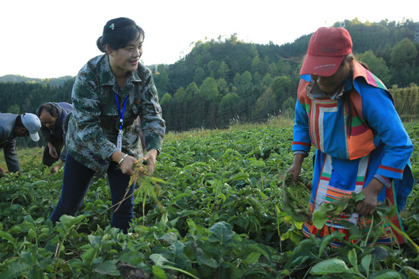 2李莉(左一)和貧困群眾共同勞動_副本.jpg 2李莉(左一)和貧困群眾共同勞動_副本.jpg