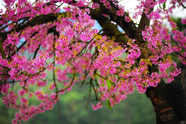 昆明晉寧.jpg 昆明晉寧.jpg