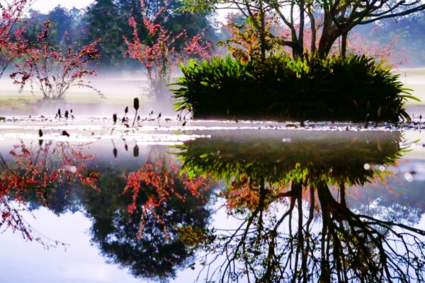 版納.jpg 版納.jpg