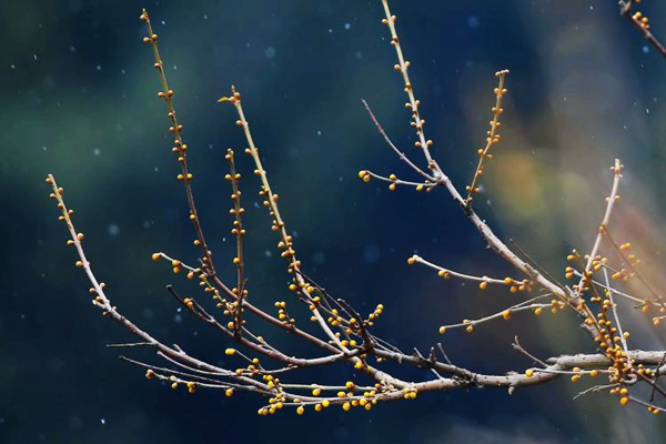 昭通.jpg 昭通.jpg