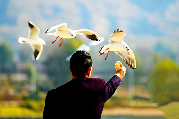 云南曲靖2_副本.jpg 云南曲靖2_副本.jpg