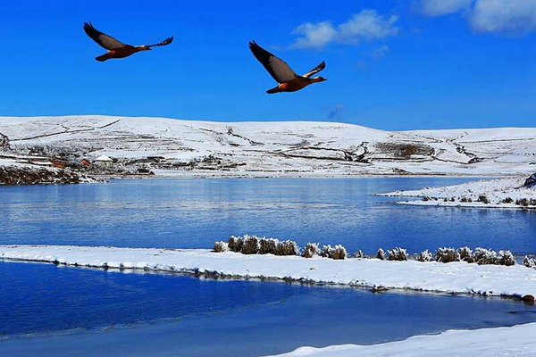 昭通.jpg 昭通.jpg