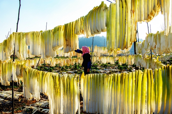 曲靖.jpg 曲靖.jpg