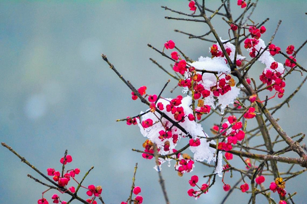 保山.jpg 保山.jpg