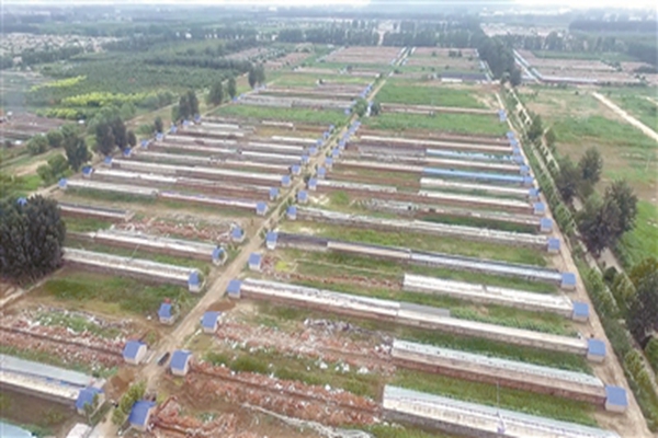 W020190217272255529919.jpg W020190217272255529919.jpg