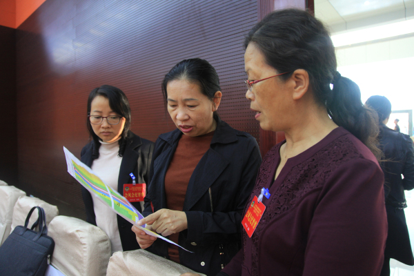 IMG_4114.jpg IMG_4114.jpg