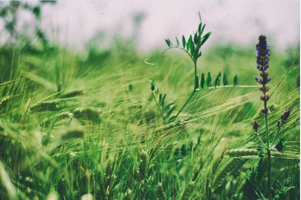 W020190228637083335823.jpg W020190228637083335823.jpg