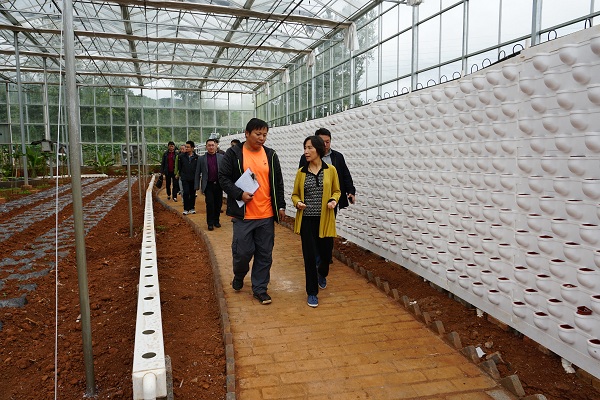 何副.jpg 何副.jpg