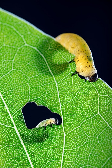 W020190306566855298525.jpg W020190306566855298525.jpg