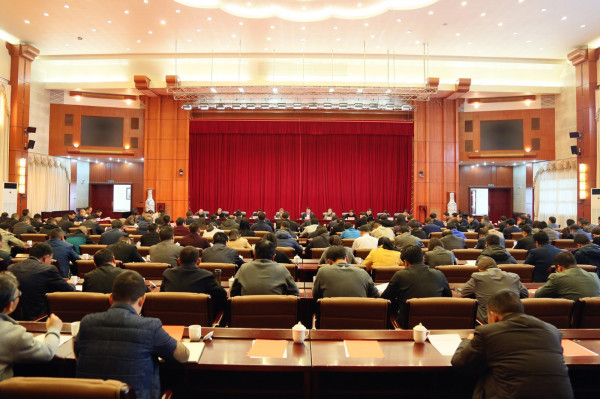 D21A4291_副本.jpg D21A4291_副本.jpg