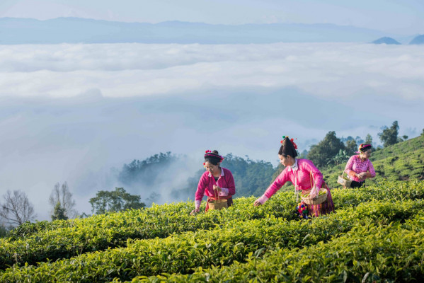 9德宏.jpg 9德宏.jpg