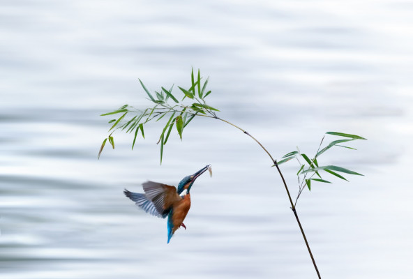 11西山區.jpg 11西山區.jpg