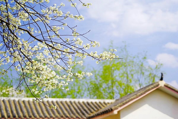 10昭通.jpg 10昭通.jpg