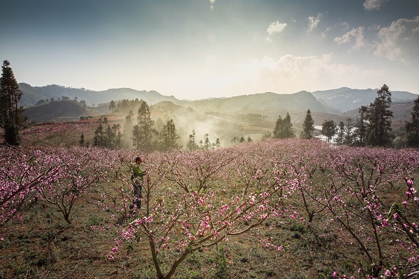 13蒙自.jpg 13蒙自.jpg