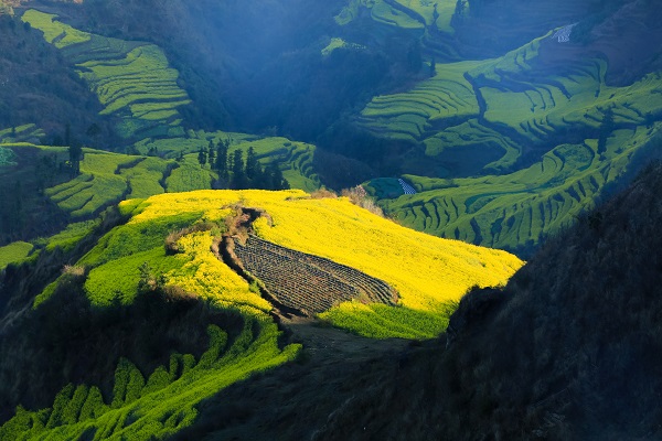 5巧家.jpg 5巧家.jpg