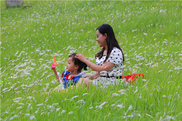 普洱孟連600.jpg 普洱孟連600.jpg