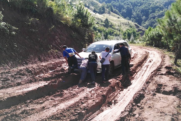 14江城.jpg 14江城.jpg