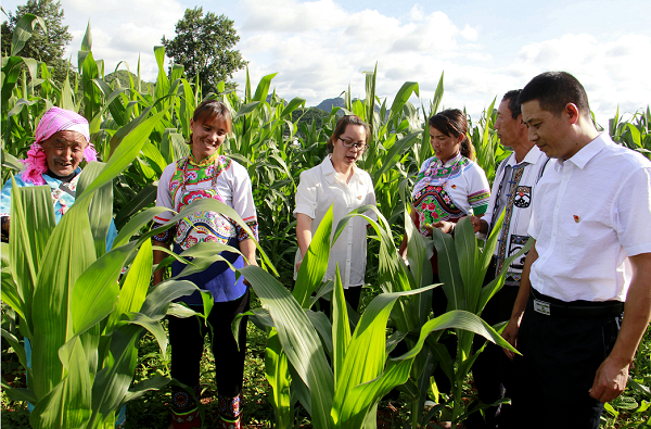 4丘北.png 4丘北.png