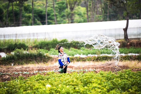 原圖2(小滿+云南省昆明市五華區紀委監委).jpg 原圖2(小滿+云南省昆明市五華區紀委監委).jpg