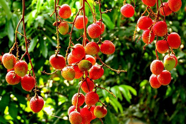 Ll3VKnwmR4egFzigw0TwGlcHx9K9XWBbb85XOhie.jpeg Ll3VKnwmR4egFzigw0TwGlcHx9K9XWBbb85XOhie.jpeg