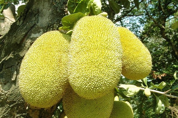 XBDdoN8clS8n2zVeTU50bPPzAbyIep4v9s25tVsx.jpeg XBDdoN8clS8n2zVeTU50bPPzAbyIep4v9s25tVsx.jpeg