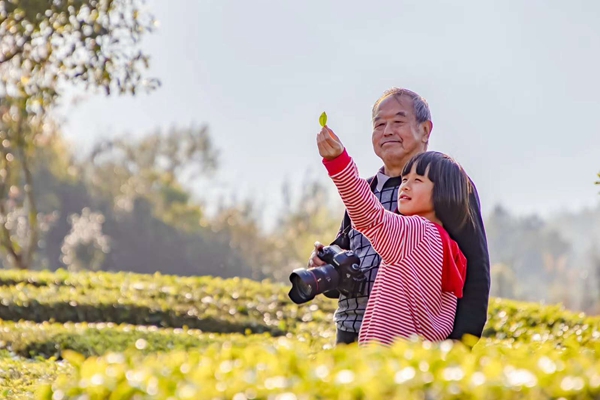 600x400普洱寧洱.jpg 600x400普洱寧洱.jpg