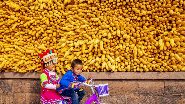 楚雄牟定.jpg 楚雄牟定.jpg