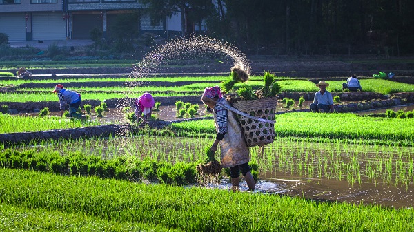 楚雄牟定.jpg 楚雄牟定.jpg