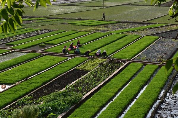 QQ截圖20190605215523.jpg QQ截圖20190605215523.jpg