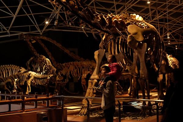 TIM截圖20190615120448.jpg TIM截圖20190615120448.jpg