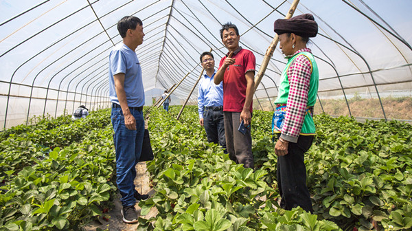 5.查看產(chǎn)業(yè)發(fā)展_副本.jpg 5.查看產(chǎn)業(yè)發(fā)展_副本.jpg