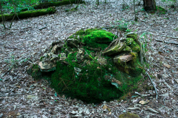 圖片8.png 圖片8.png