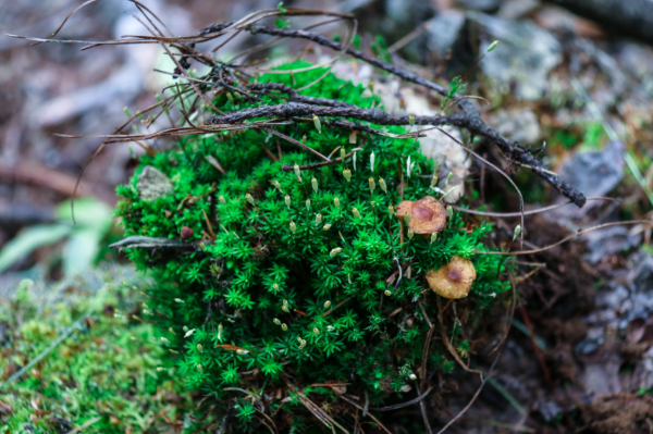 圖片5.png 圖片5.png