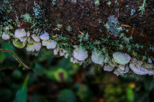 圖片3.png 圖片3.png