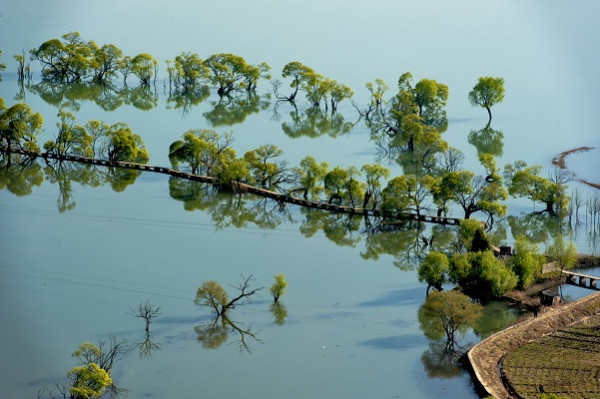 image001.jpg image001.jpg