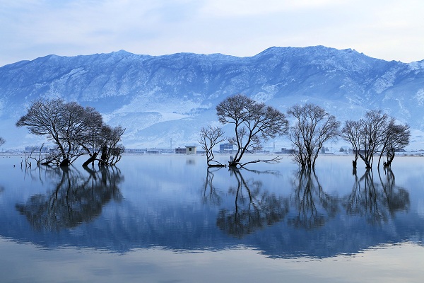 image004.jpg image004.jpg